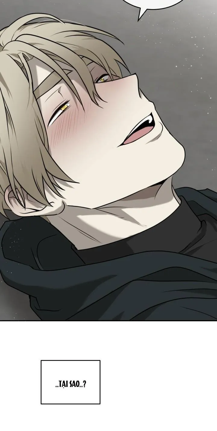 DƯỠNG THÚ CƯNG Chapter 2 Trang 50