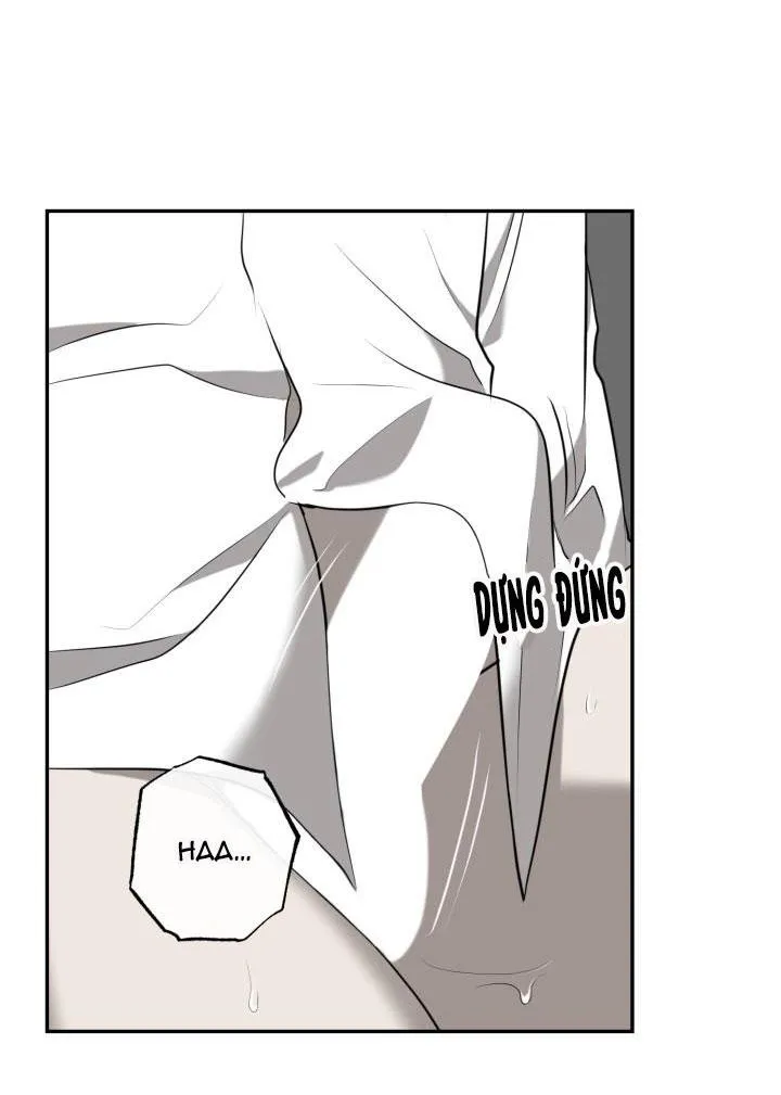 DƯỠNG THÚ CƯNG Chapter 3 Trang 22