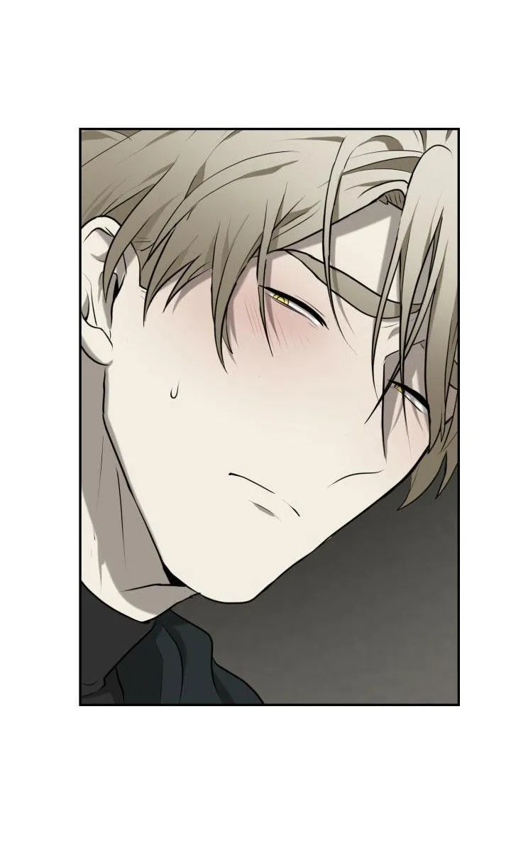 DƯỠNG THÚ CƯNG Chapter 3 Trang 39