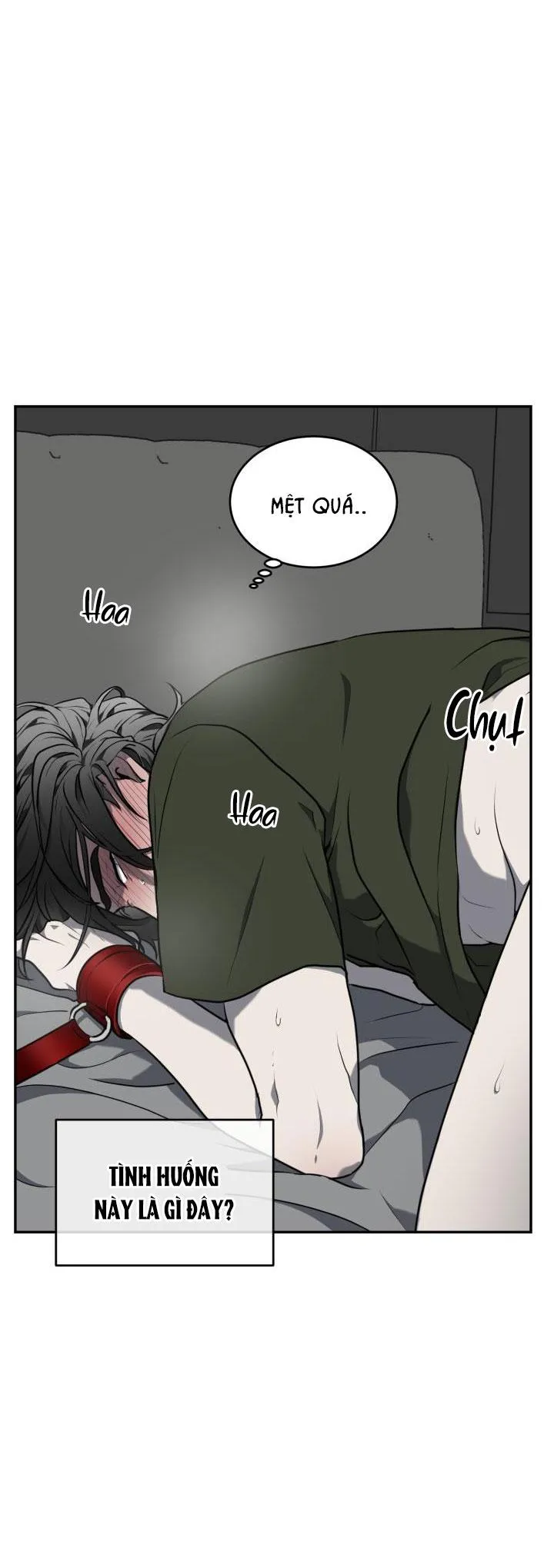 DƯỠNG THÚ CƯNG Chapter 8 Trang 49