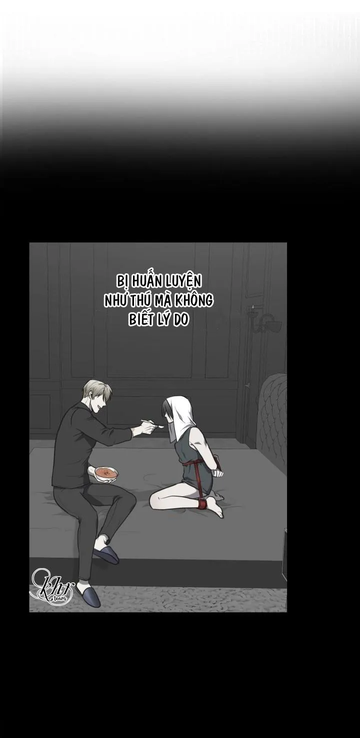 DƯỠNG THÚ CƯNG Chapter 9 Trang 38