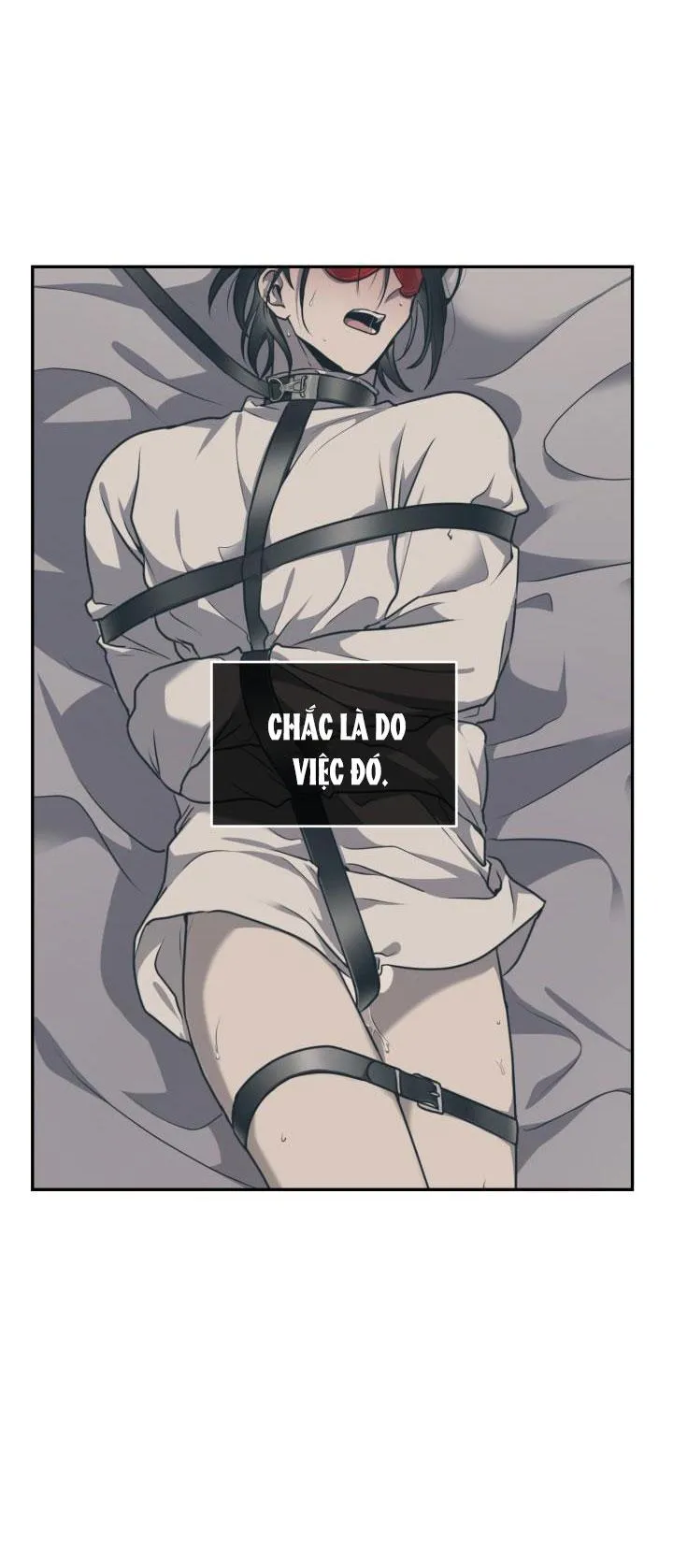 DƯỠNG THÚ CƯNG Chapter 16 Trang 12