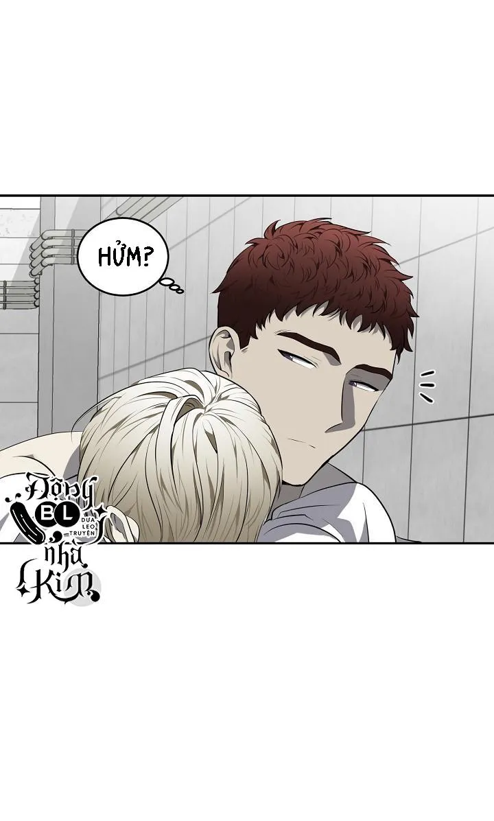 DƯỠNG THÚ CƯNG Chapter 28 Trang 43