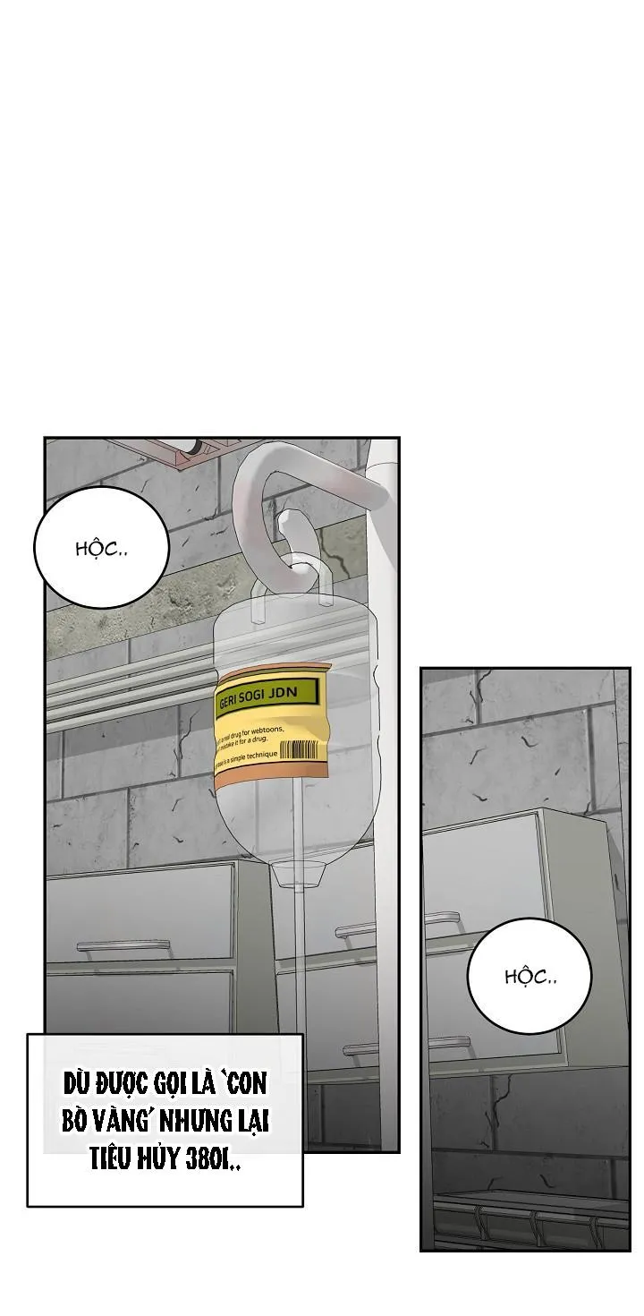 DƯỠNG THÚ CƯNG Chapter 28 Trang 63