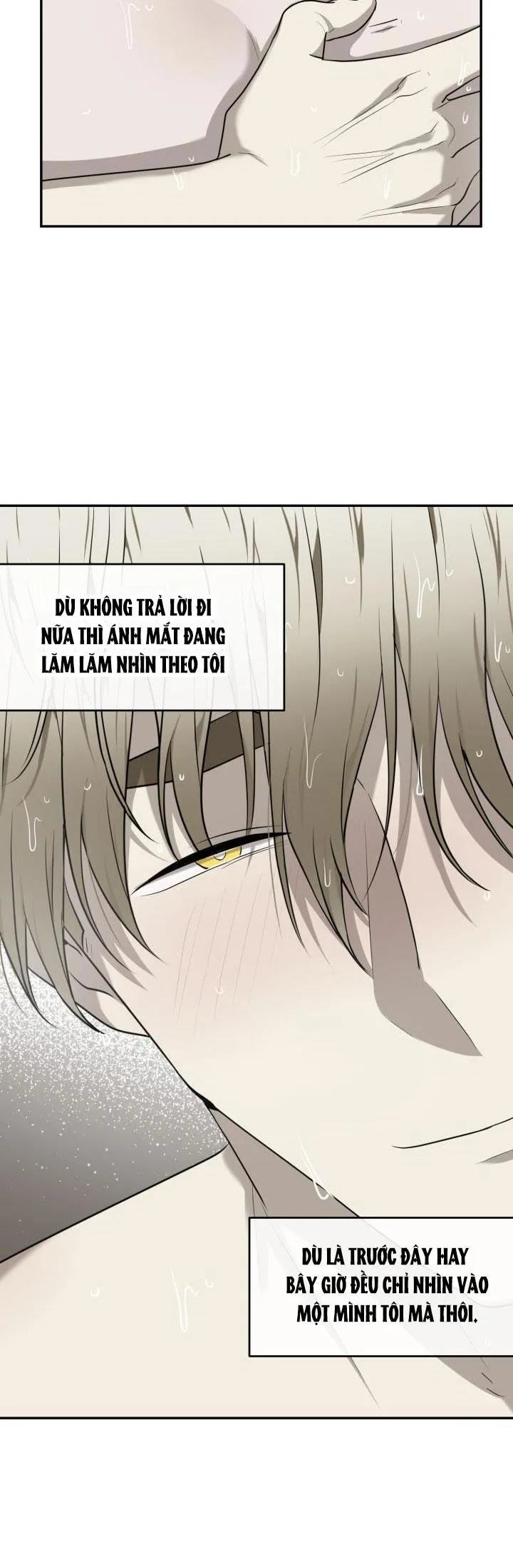 DƯỠNG THÚ CƯNG Chapter 33 Trang 19