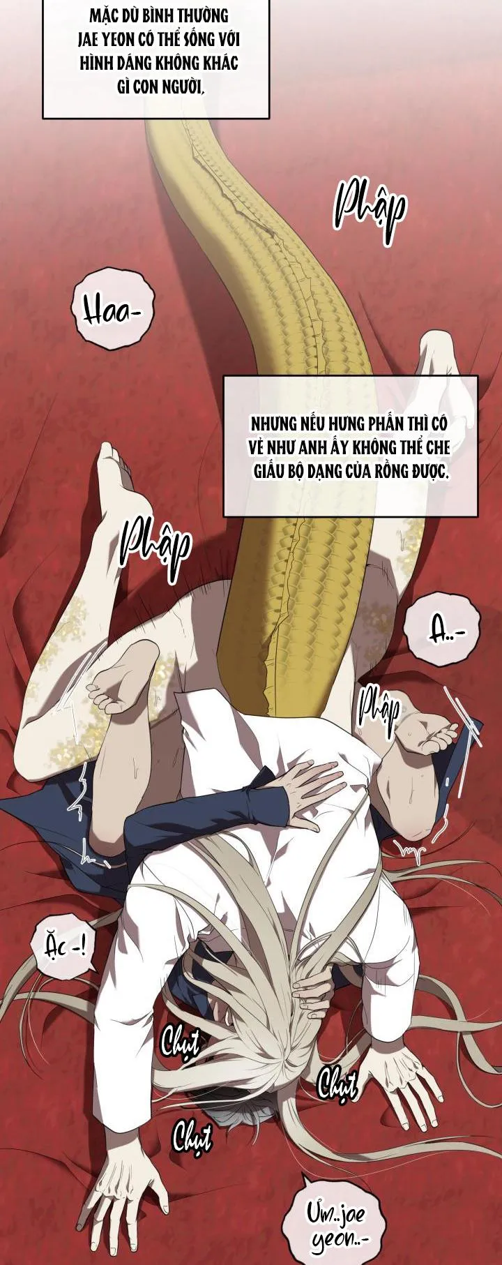 DƯỠNG THÚ CƯNG Chapter 54 Trang 4