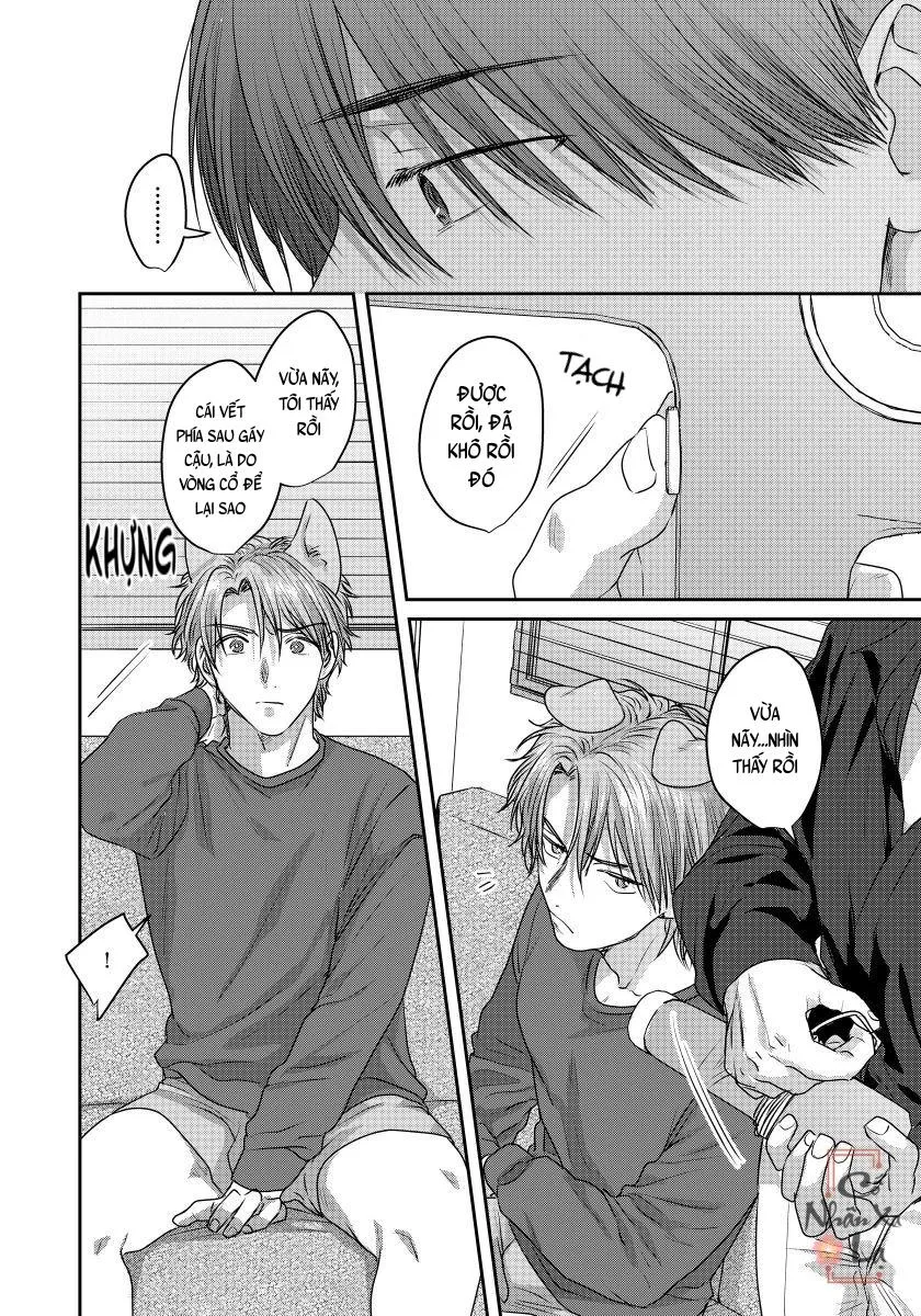 Ecchi otetsudai inu no seichou kiroku Chapter 2 Trang 9