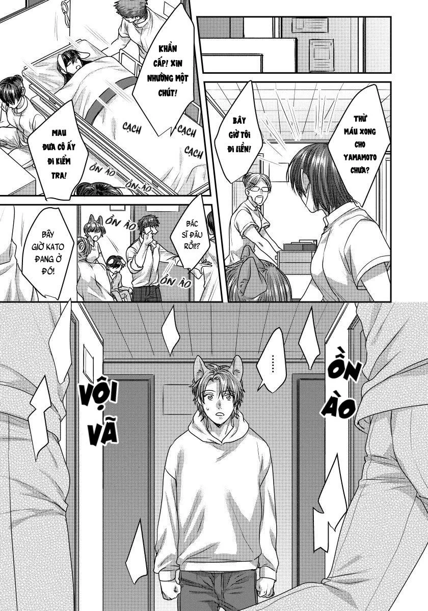 Ecchi otetsudai inu no seichou kiroku Chapter 2 Trang 14