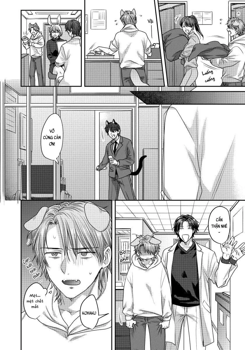 Ecchi otetsudai inu no seichou kiroku Chapter 2 Trang 17