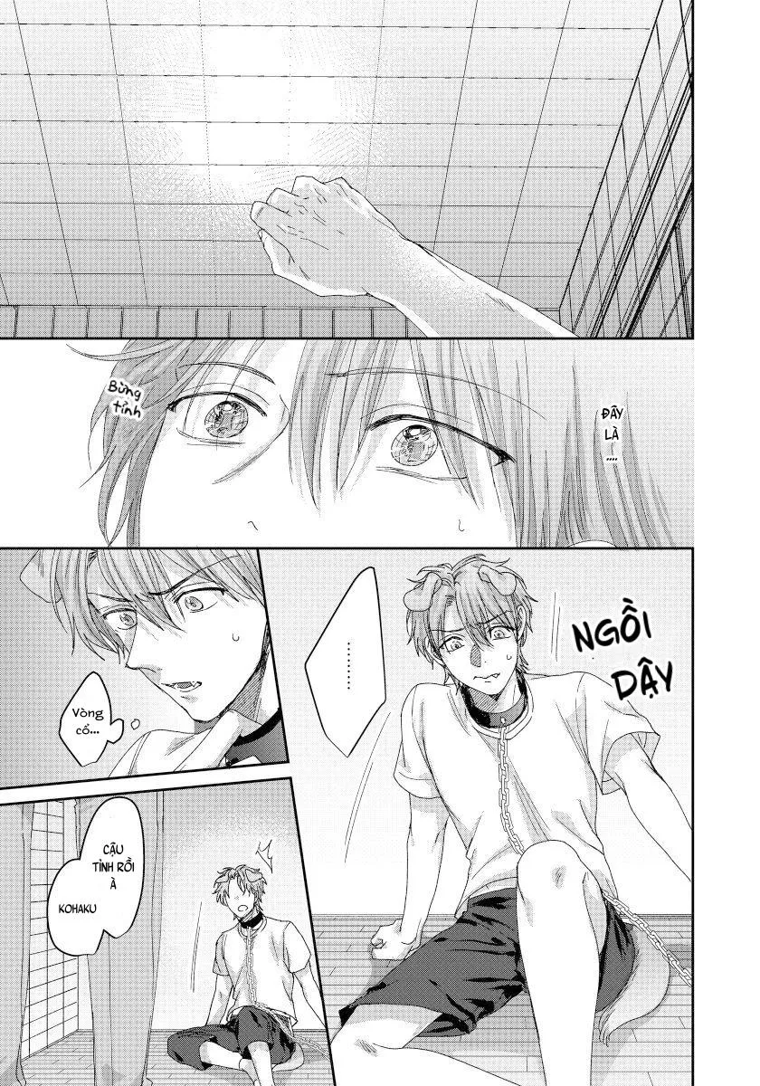 Ecchi otetsudai inu no seichou kiroku Chapter 4 Trang 8