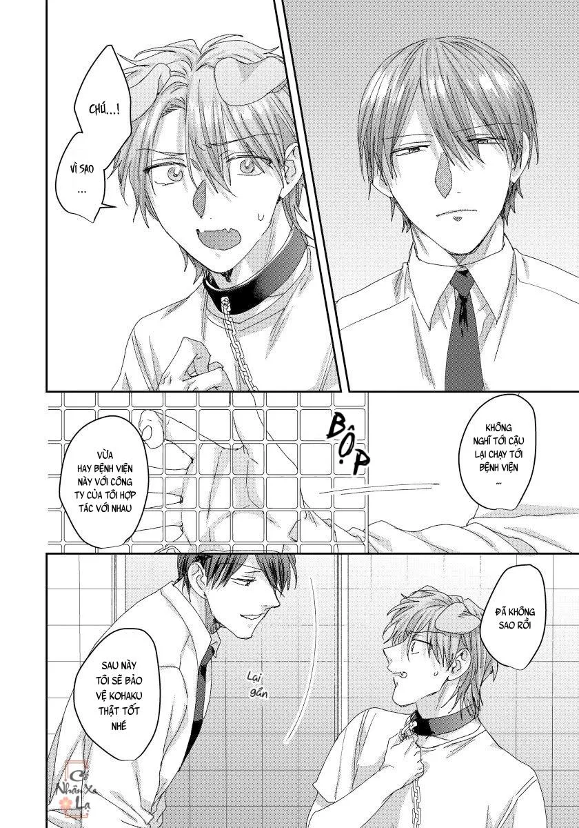 Ecchi otetsudai inu no seichou kiroku Chapter 4 Trang 9