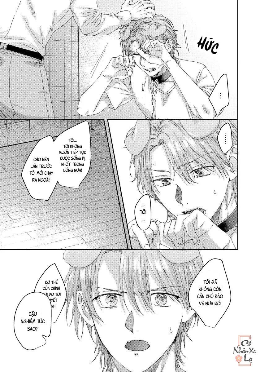 Ecchi otetsudai inu no seichou kiroku Chapter 4 Trang 10