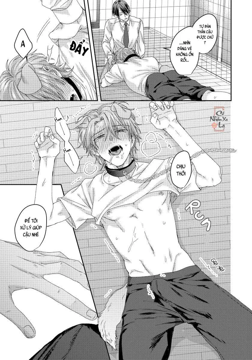 Ecchi otetsudai inu no seichou kiroku Chapter 4 Trang 22