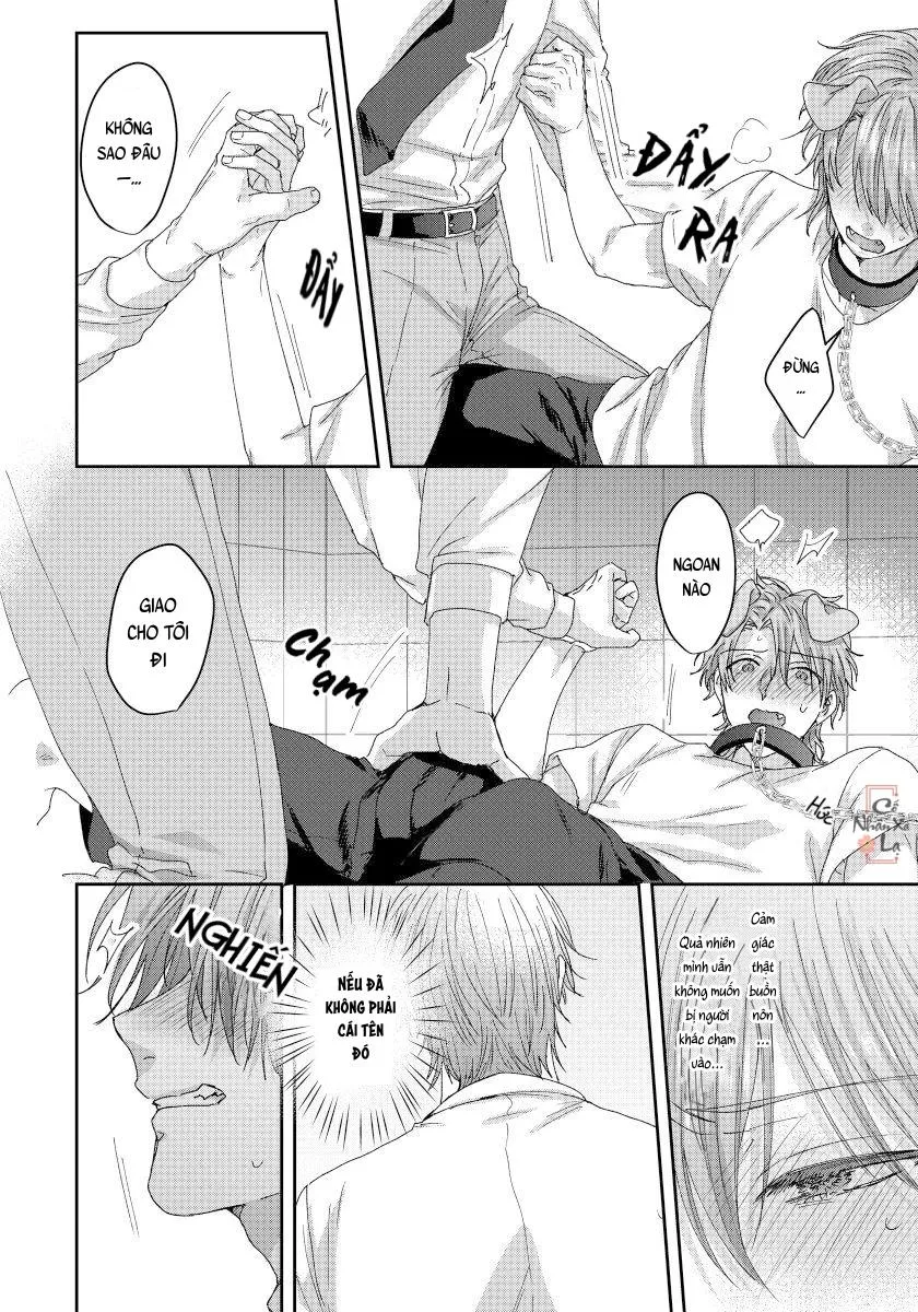 Ecchi otetsudai inu no seichou kiroku Chapter 5 Trang 4