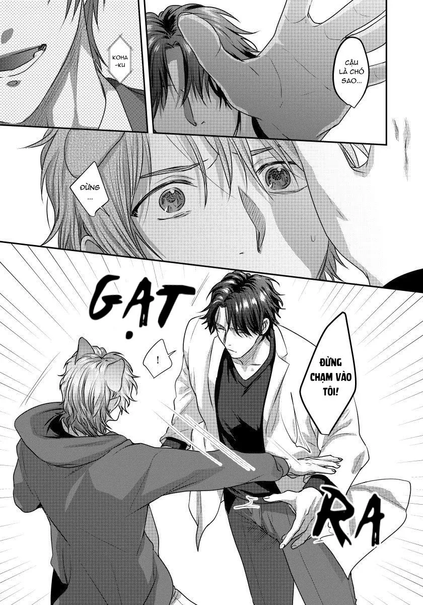 Ecchi otetsudai inu no seichou kiroku Chapter 1 Trang 6