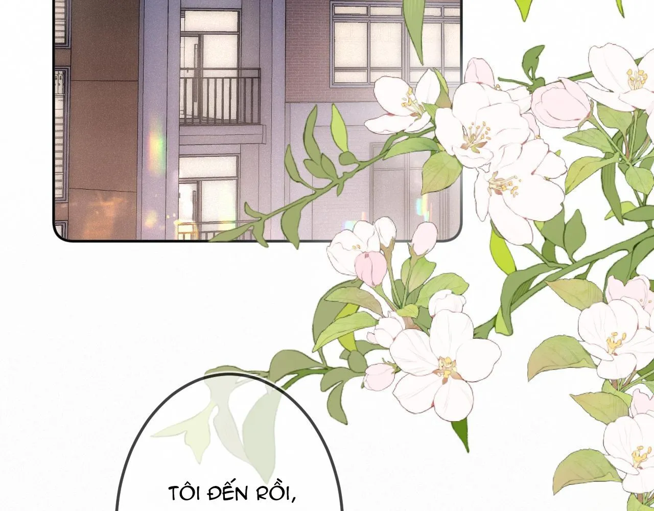 (END) Em Đến Cùng Cơn Gió Chapter 44 Trang 48