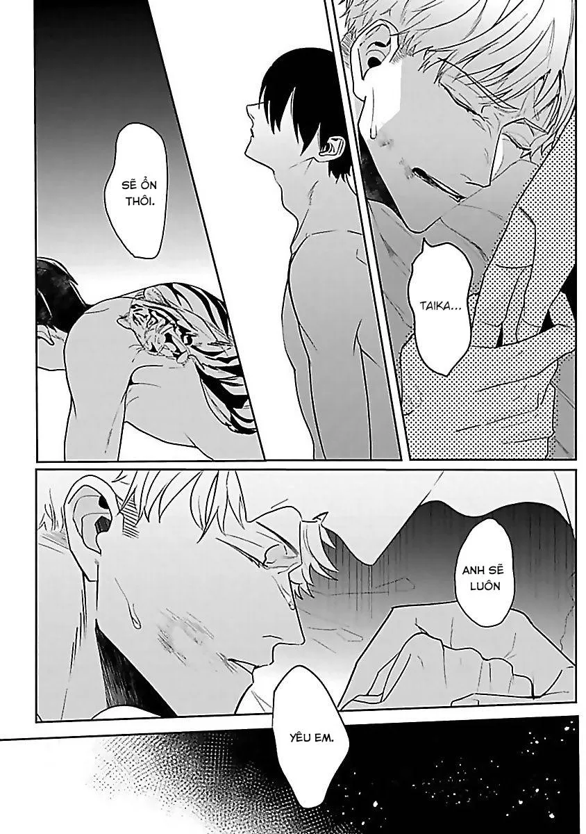 Em Là Con Mồi Của Tôi Chapter 4 Trang 25