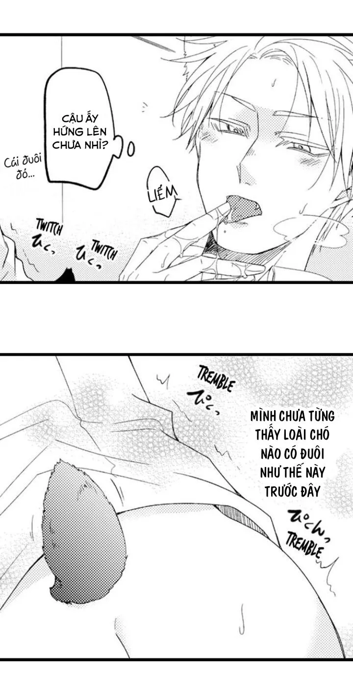 Em Muốn Được Yêu Chapter 3 Trang 18