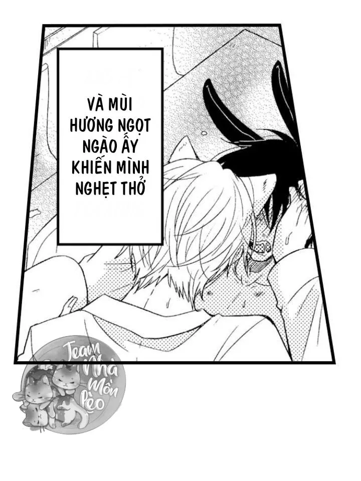 Em Muốn Được Yêu Chapter 4 Trang 8