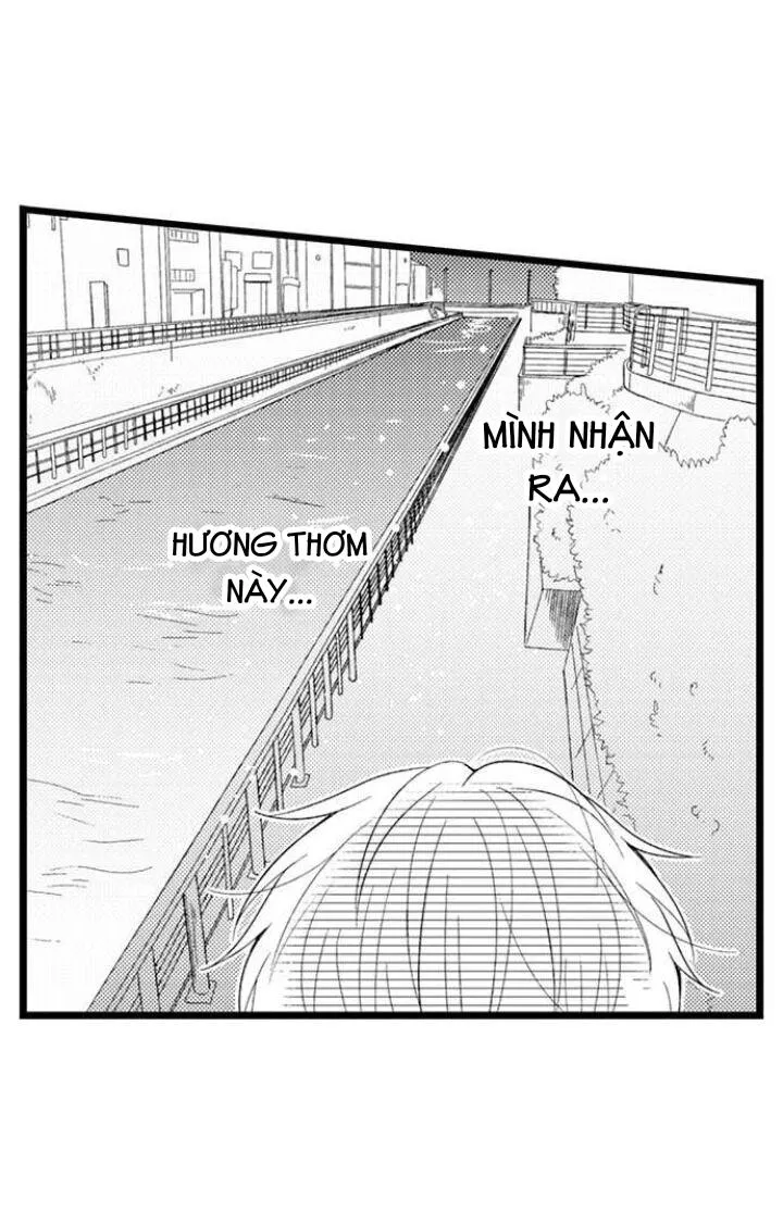 Em Muốn Được Yêu Chapter 8 Trang 37