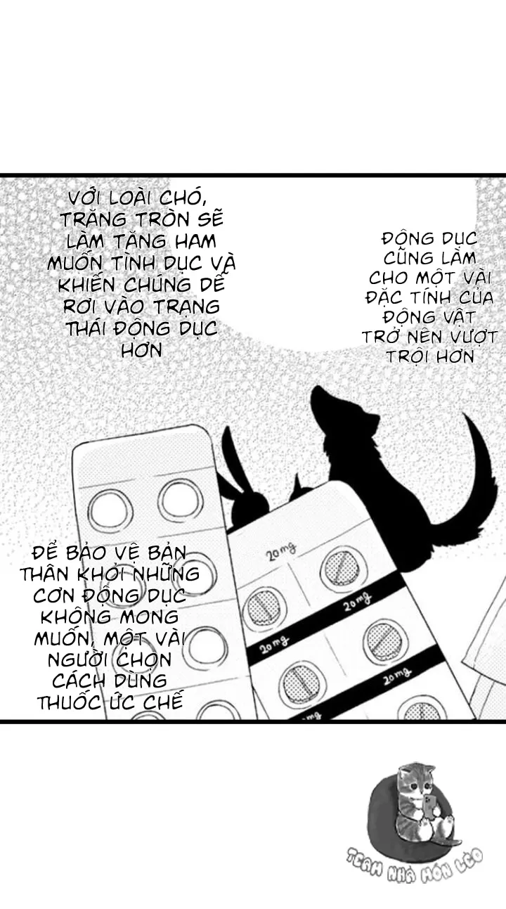 Em Muốn Được Yêu Chapter 1 Trang 21