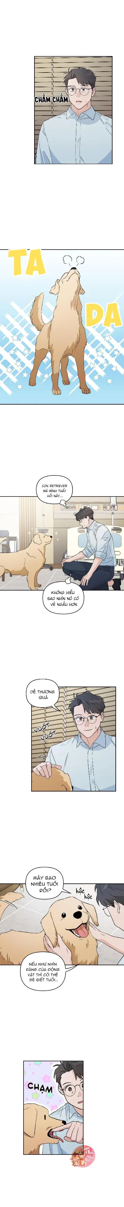 Em Nguyện Làm Bé Cún Của Anh Chapter 2 Trang 13