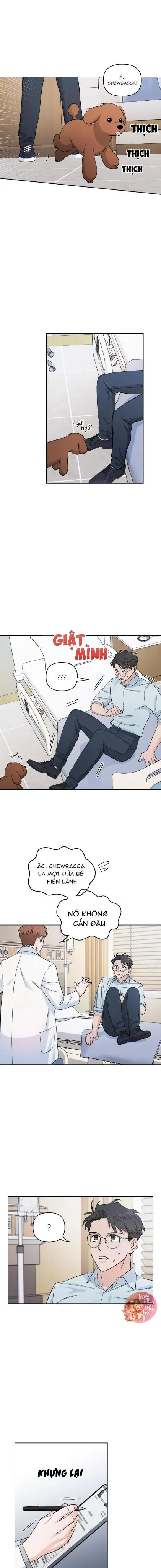 Em Nguyện Làm Bé Cún Của Anh Chapter 3 Trang 12