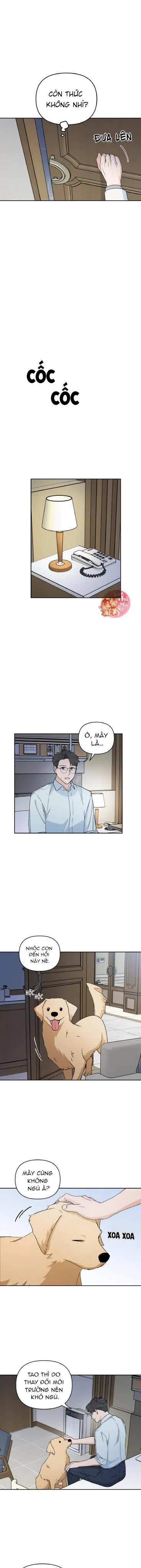 Em Nguyện Làm Bé Cún Của Anh Chapter 5 Trang 9