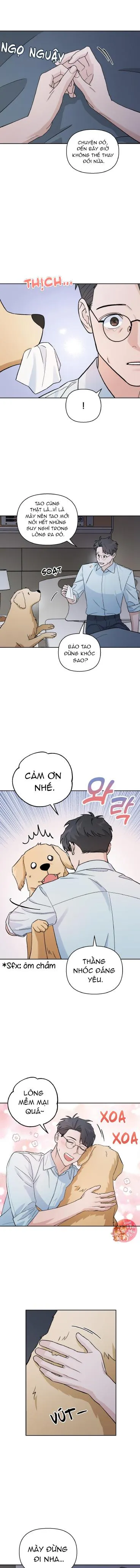 Em Nguyện Làm Bé Cún Của Anh Chapter 5 Trang 12