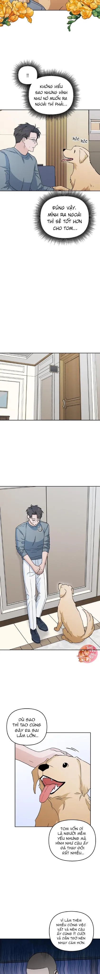 Em Nguyện Làm Bé Cún Của Anh Chapter 8 Trang 12
