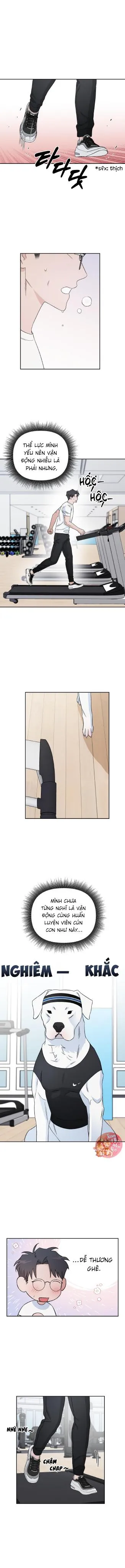 Em Nguyện Làm Bé Cún Của Anh Chapter 10 Trang 8