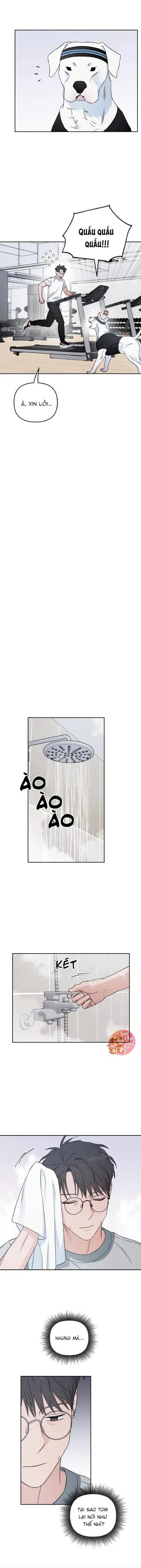 Em Nguyện Làm Bé Cún Của Anh Chapter 10 Trang 9