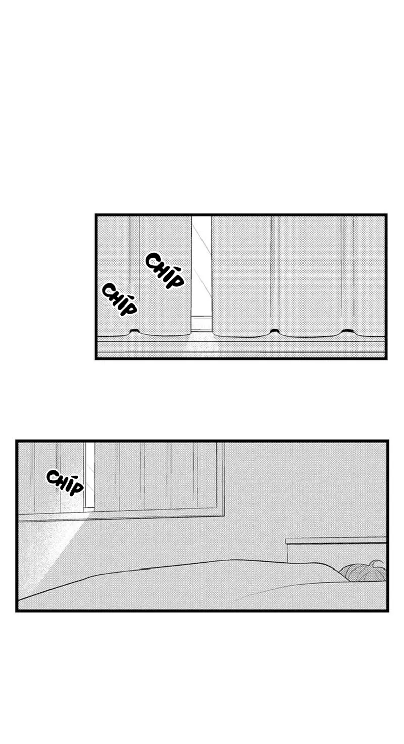 Em và thầy không thể đâu! Chapter 14 Trang 11