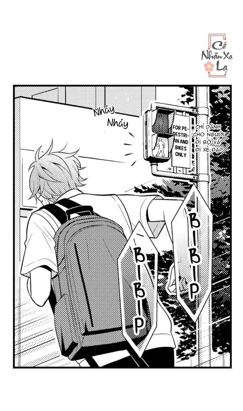 Em và thầy không thể đâu! Chapter 19 Trang 15