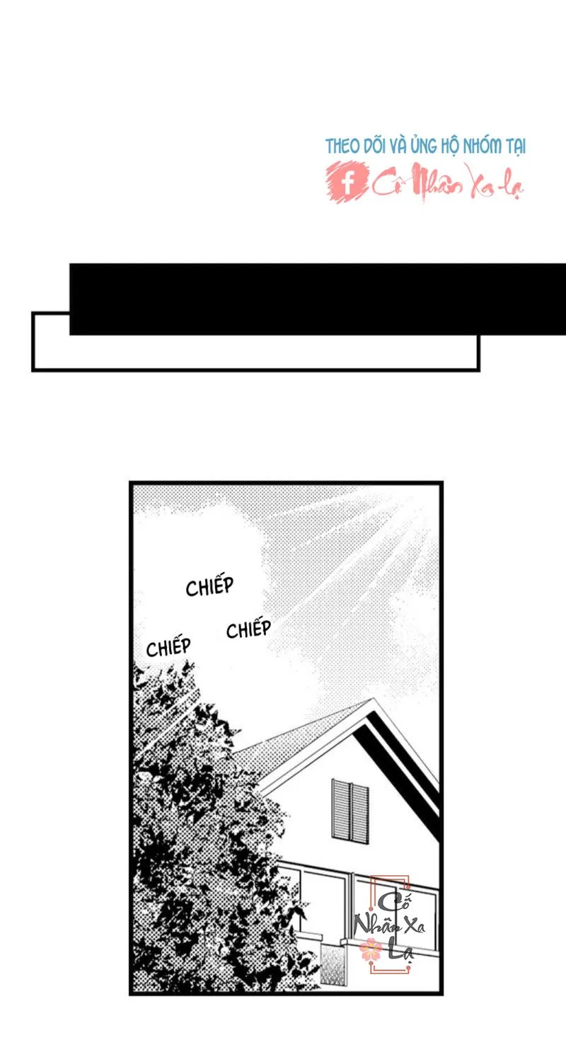 Em và thầy không thể đâu! Chapter 27 Trang 24