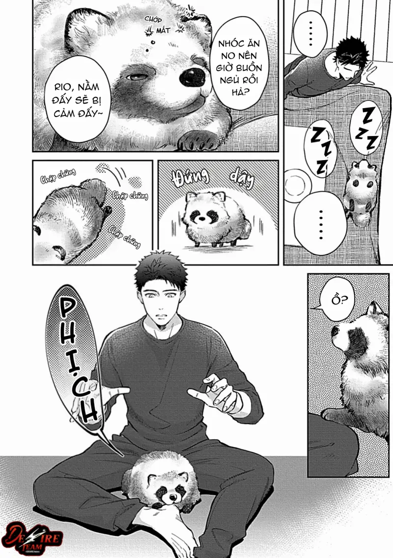 [END] Trở Thành Một Gia Đình Cùng Hai Anh Em Tanuki Chapter 2 Trang 12