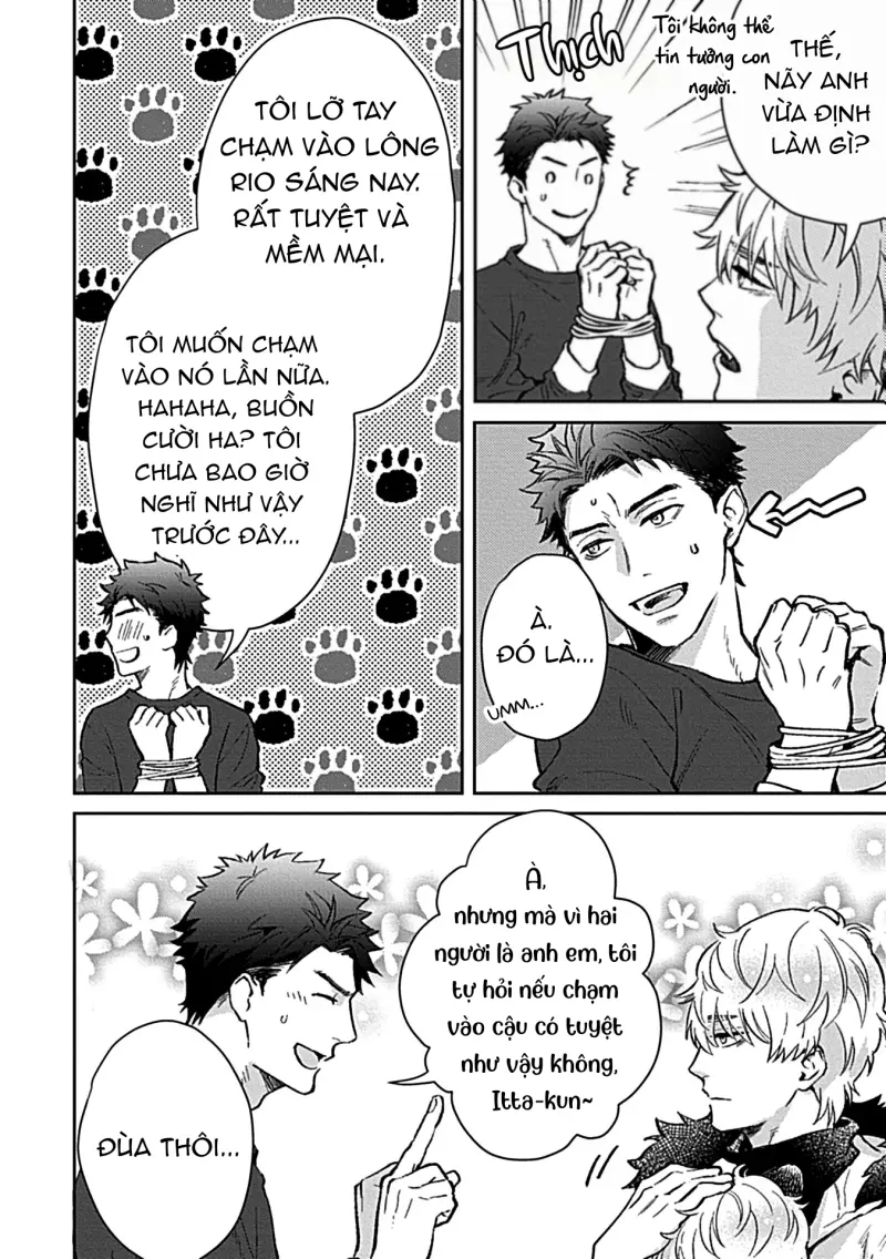 [END] Trở Thành Một Gia Đình Cùng Hai Anh Em Tanuki Chapter 2 Trang 16