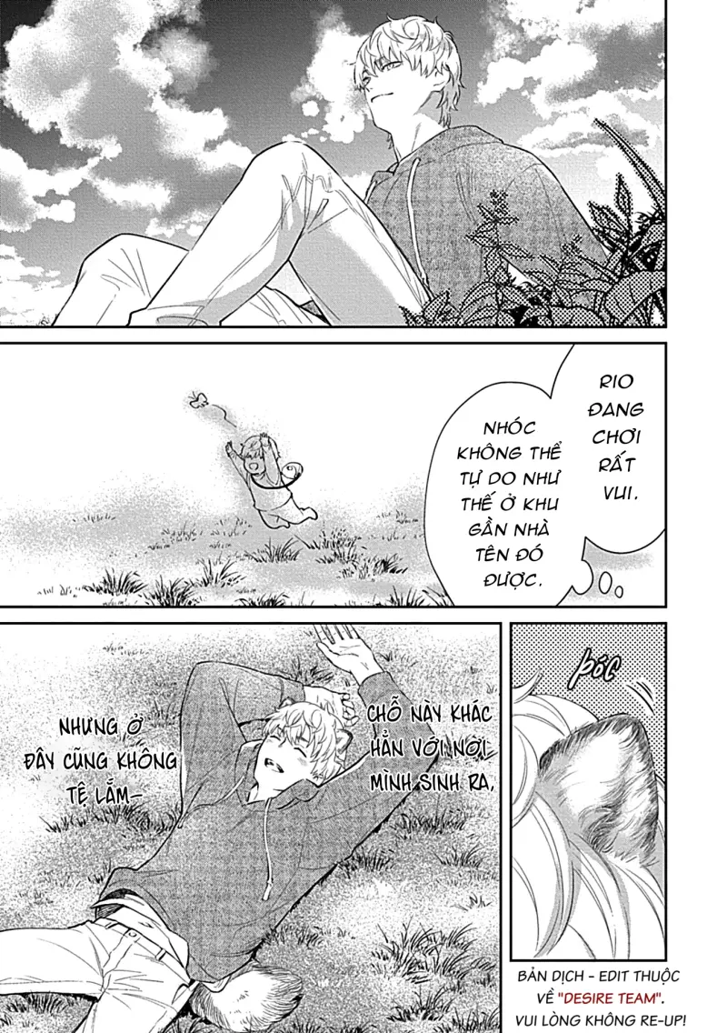 [END] Trở Thành Một Gia Đình Cùng Hai Anh Em Tanuki Chapter 3 Trang 12