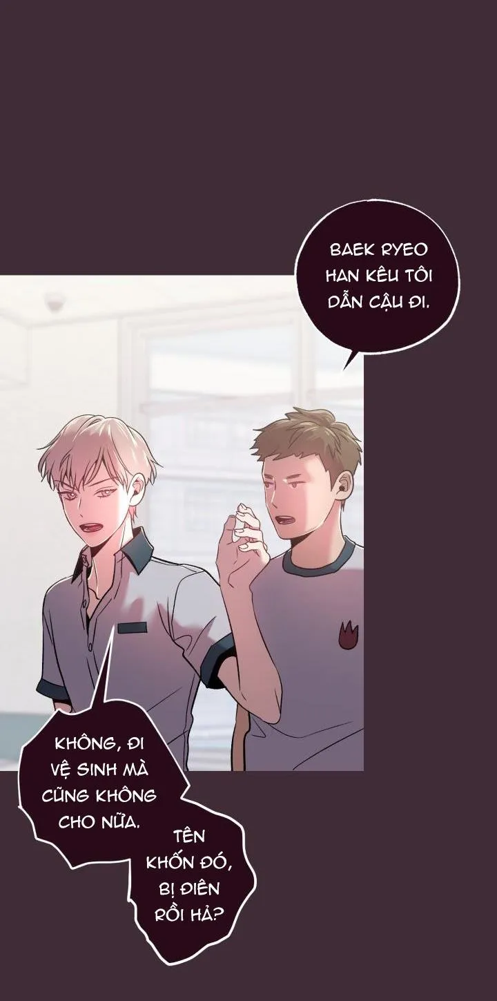 Falling Down Chapter 22 Trang 19