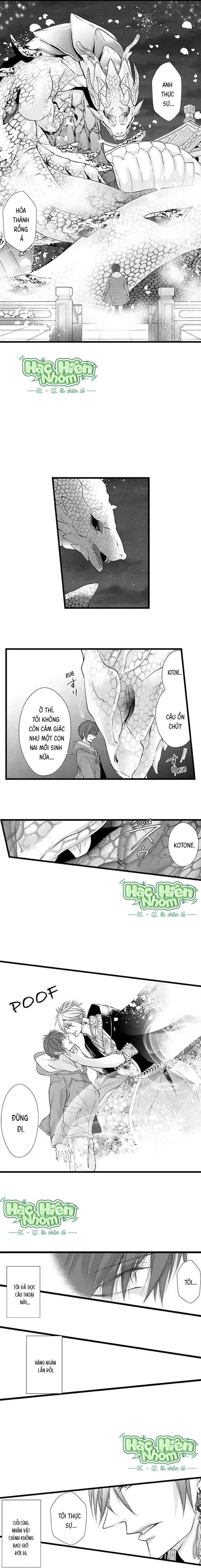 Fan cuồng Boylove bị triệu hồi tới một thế giới lạ Chapter 11 Trang 8