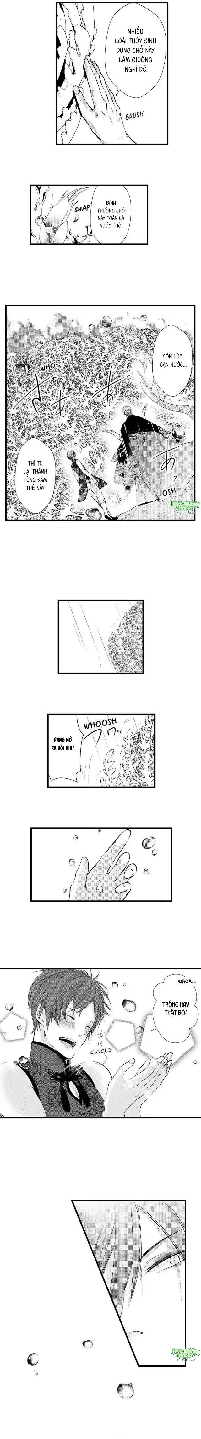 Fan cuồng Boylove bị triệu hồi tới một thế giới lạ Chapter 24 Trang 5