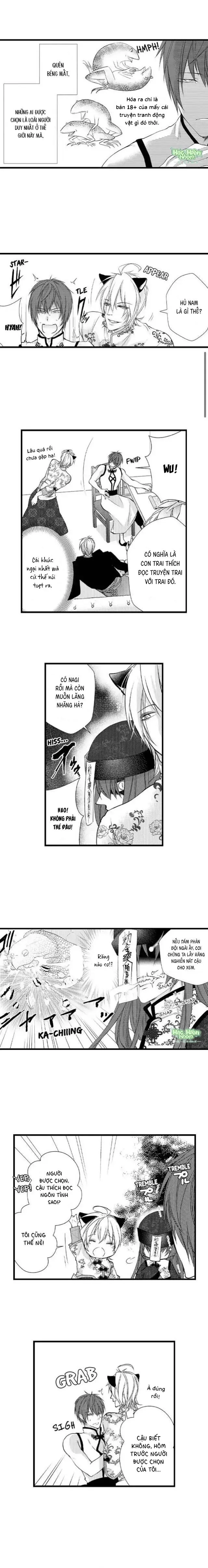 Fan cuồng Boylove bị triệu hồi tới một thế giới lạ Chapter 25 Trang 5