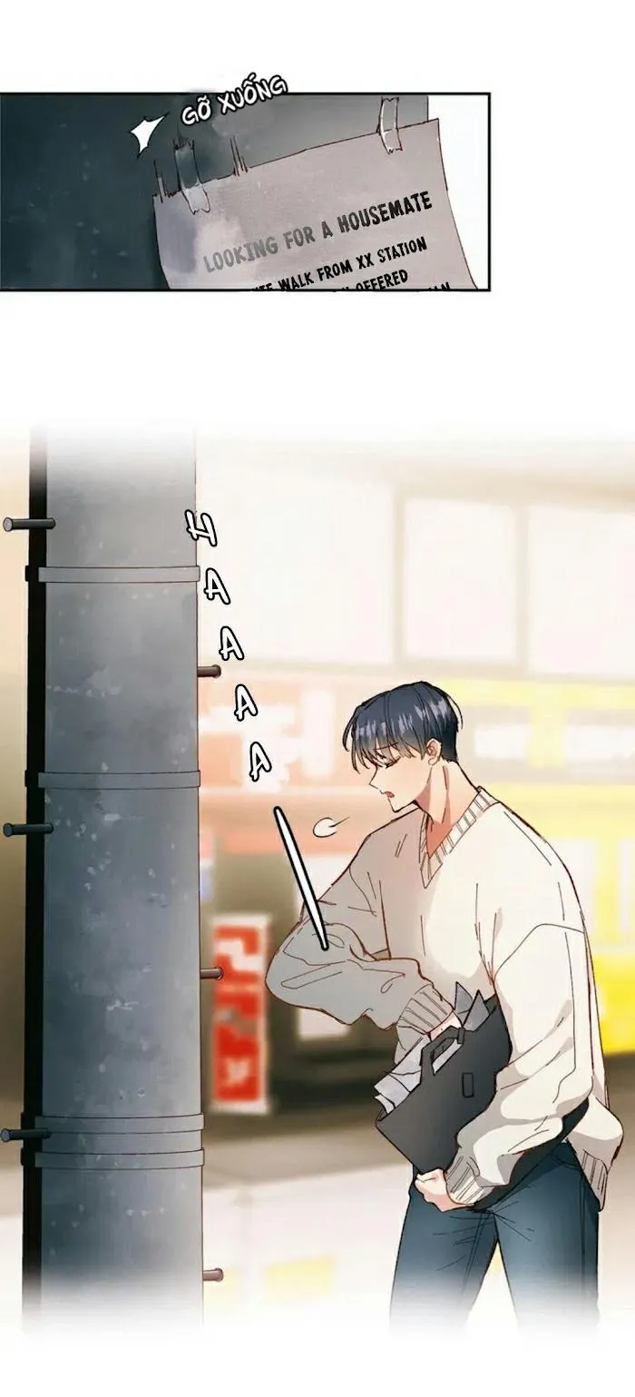 FANCY MATE Chapter 1 Trang 20