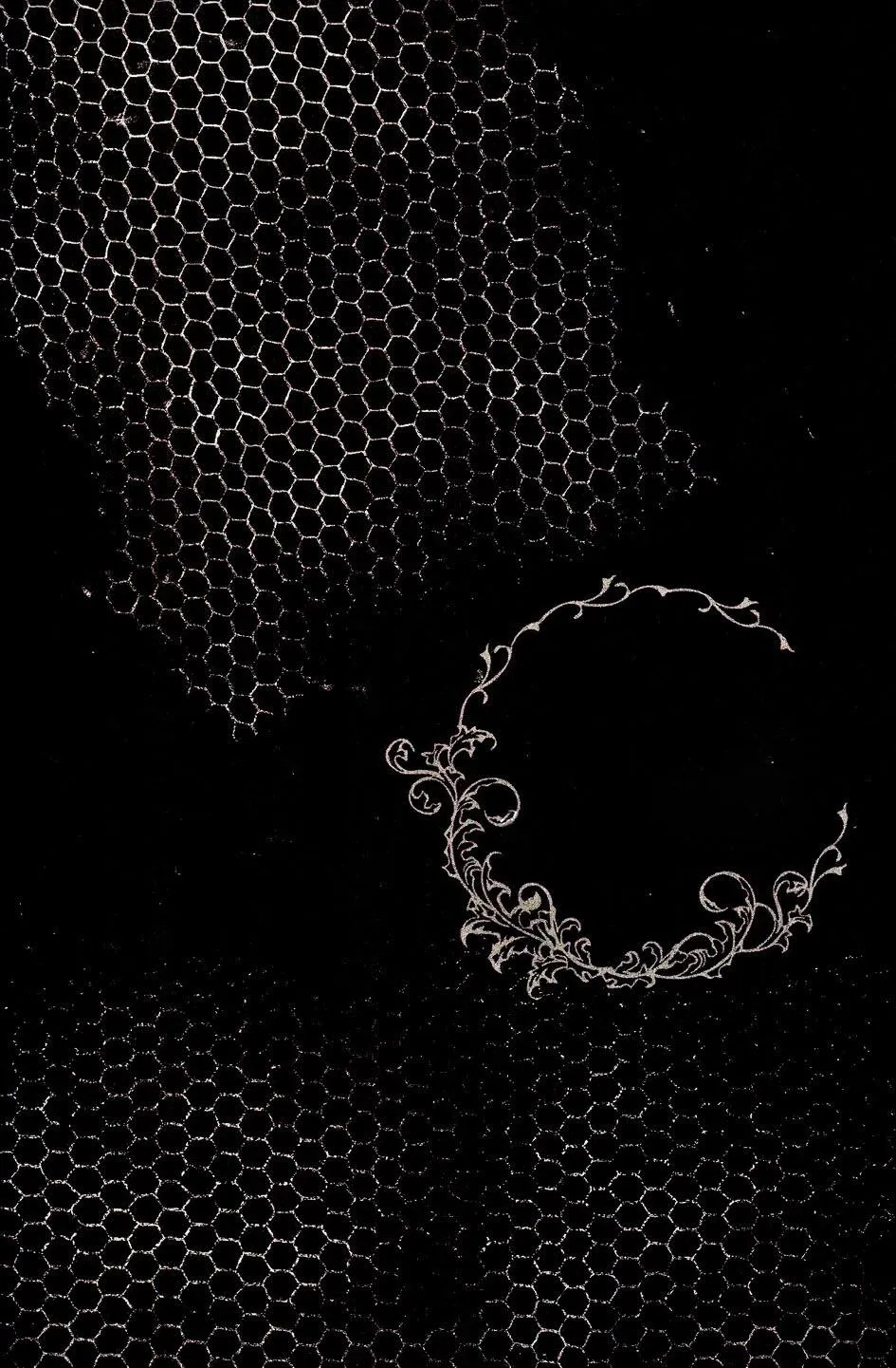 Fanservice Chapter 2 Trang 34