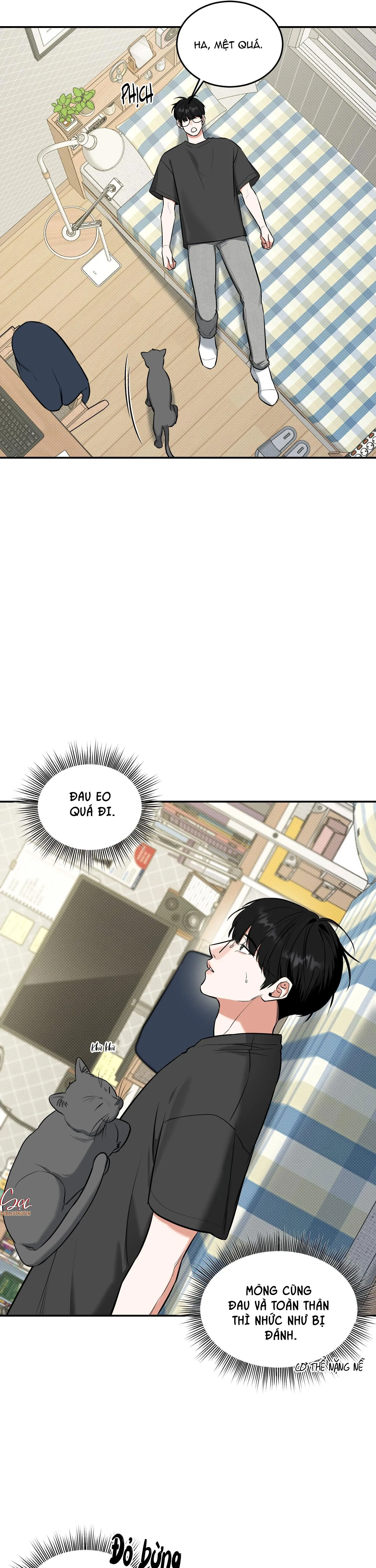 (ABO) FEEL MY BENEFIT Chapter 11 Trang 18