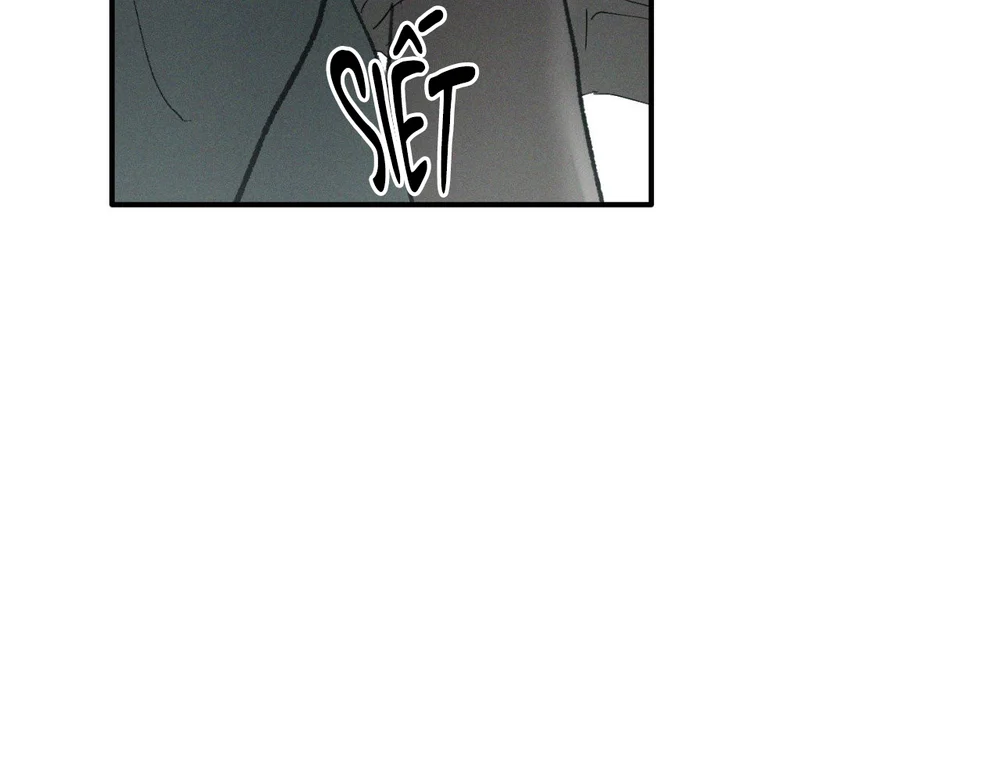 FLASHLIGHT Chapter 62 Trang 12