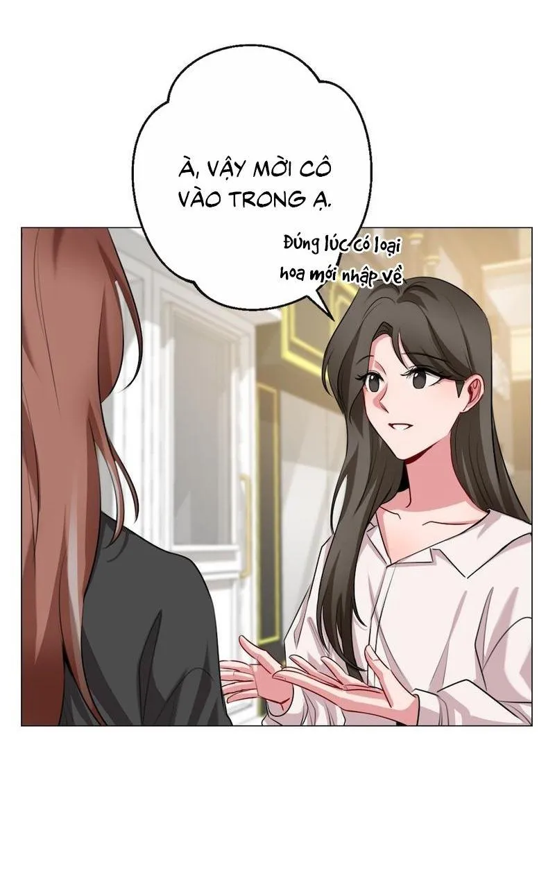 Flower of youth Chapter 8 Trang 55