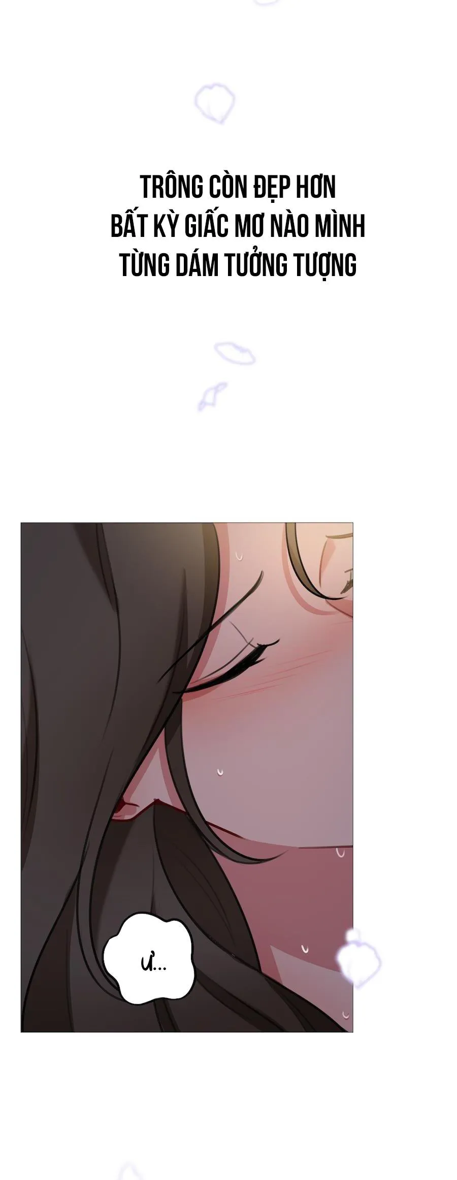 Flower of youth Chapter 26 Trang 21