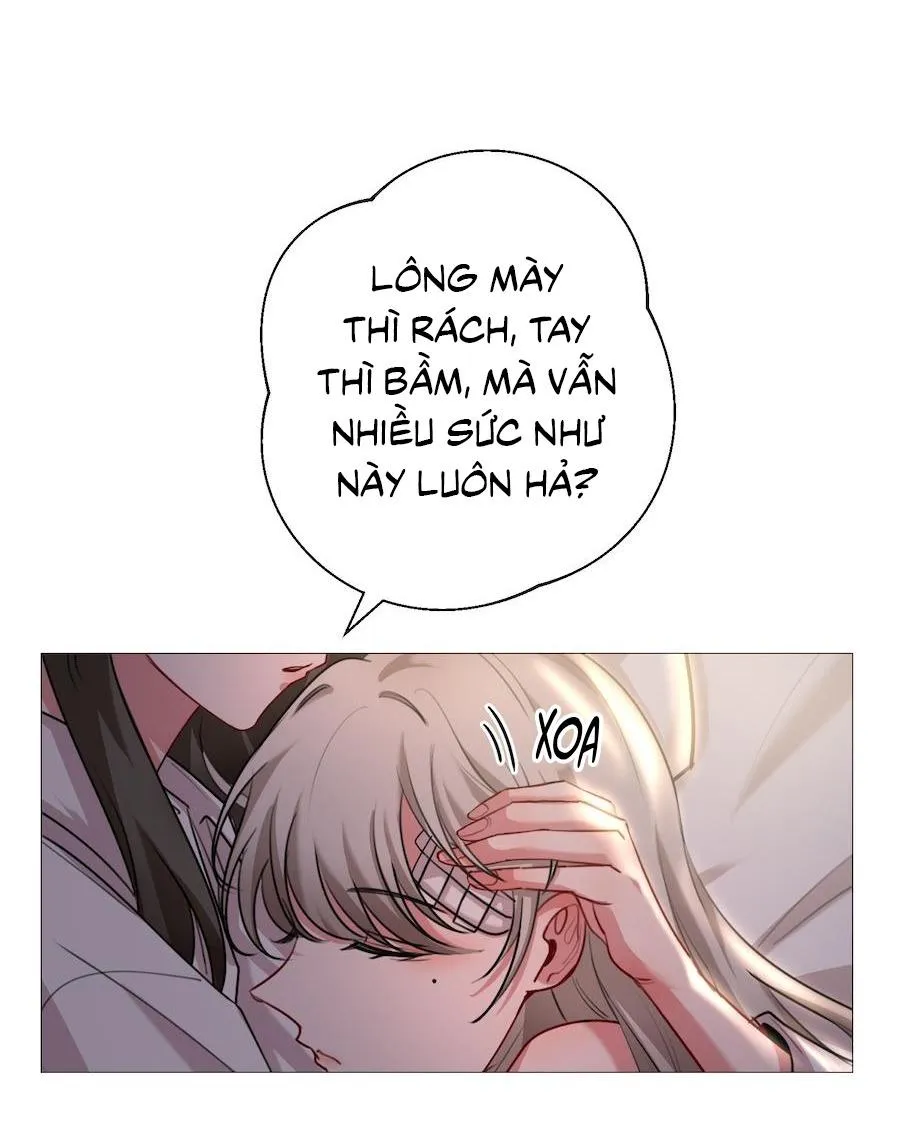 Flower of youth Chapter 26 Trang 39