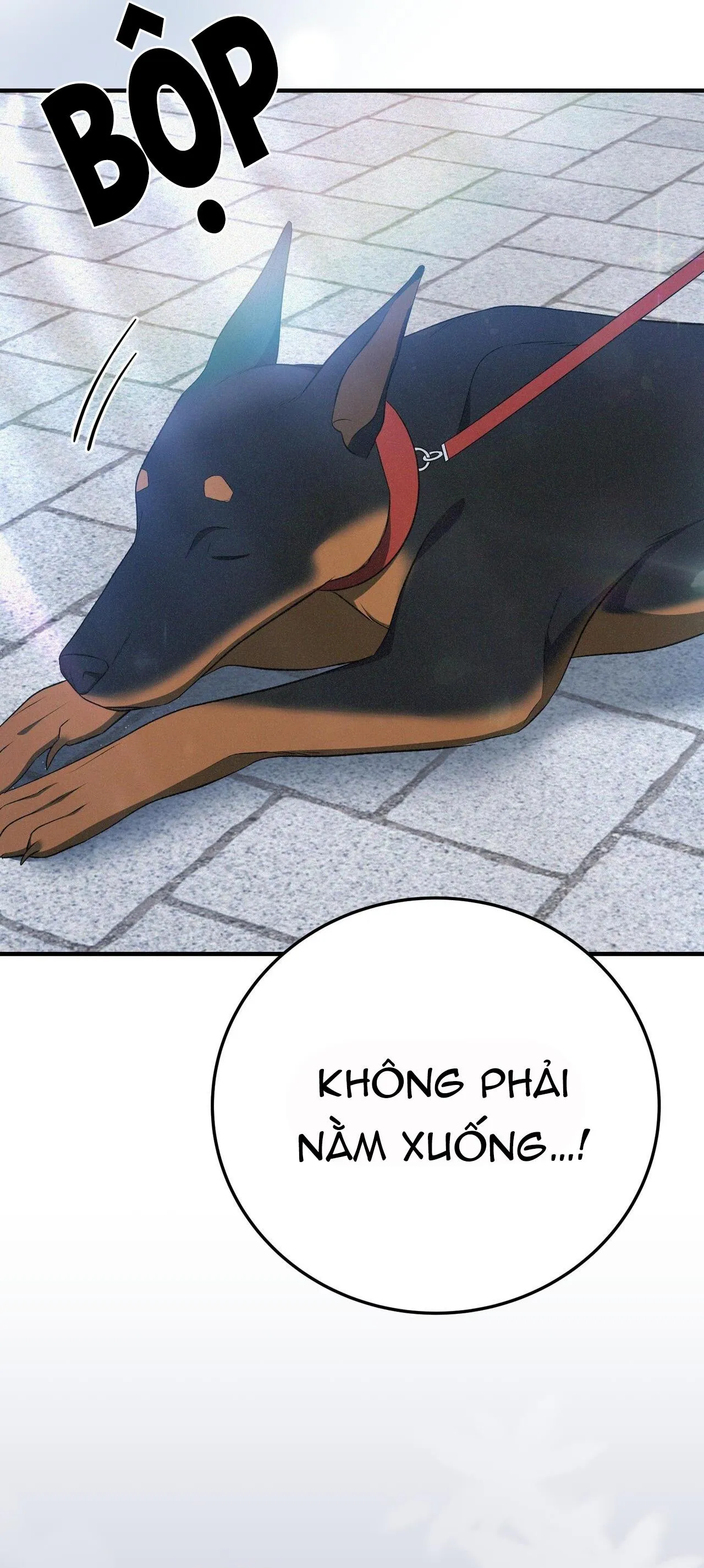 FormLess Chapter 65 Trang 3